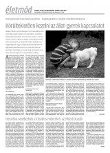 Krónika XX. évfolyam, 106. szám
