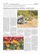 Udvarhelyi Híradó XXIX. évfolyam, 106. szám