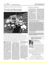 Csíki Hírlap XIII. évfolyam, 107. szám
