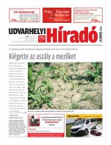 XXIX. évfolyam, 108. szám