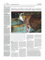 Csíki Hírlap XIII. évfolyam, 109. szám
