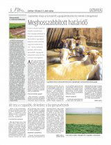 Csíki Hírlap XIII. évfolyam, 111. szám