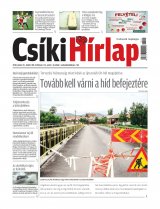 XIII. évfolyam, 113. szám