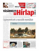 XII. évfolyam, 113. szám