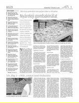 Vásárhelyi Hírlap XII. évfolyam, 114. szám