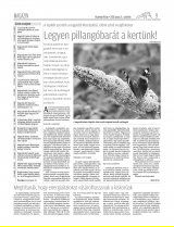 Vásárhelyi Hírlap XII. évfolyam, 115. szám
