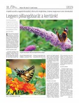 Udvarhelyi Híradó XXIX. évfolyam, 116. szám