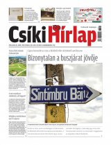 XIII. évfolyam, 118. szám