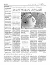 Vásárhelyi Hírlap XII. évfolyam, 119. szám