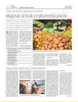 Csíki Hírlap XIII. évfolyam, 120. szám