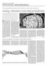 Krónika XX. évfolyam, 121. szám
