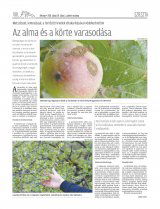 Udvarhelyi Híradó XXIX. évfolyam, 121. szám