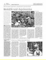 Csíki Hírlap XIII. évfolyam, 122. szám