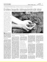 Csíki Hírlap XIII. évfolyam, 124. szám