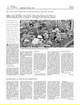 Gyergyói Hírlap IX. évfolyam, 124. szám