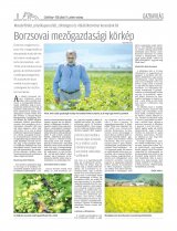Csíki Hírlap XIII. évfolyam, 126. szám