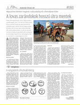 Udvarhelyi Híradó XXIX. évfolyam, 127. szám