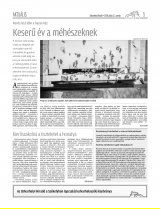 Udvarhelyi Híradó XXIX. évfolyam, 129. szám