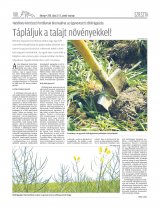 Udvarhelyi Híradó XXIX. évfolyam, 131. szám