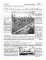 Csíki Hírlap XIII. évfolyam, 131. szám