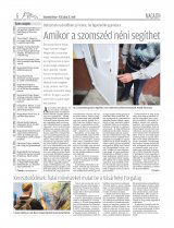 Vásárhelyi Hírlap XII. évfolyam, 132. szám