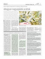 Udvarhelyi Híradó XXIX. évfolyam, 133. szám