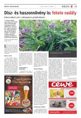 Gyergyói Hírlap IX. évfolyam, 134. szám