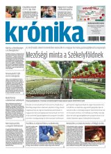XX. évfolyam, 136. szám