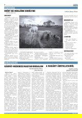 Udvarhelyi Híradó XXIX. évfolyam, 138. szám