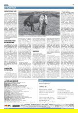 Udvarhelyi Híradó XXIX. évfolyam, 138. szám