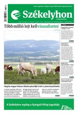 IX. évfolyam, 139. szám
