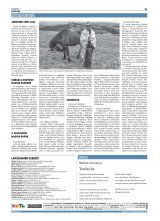 Krónika XX. évfolyam, 141. szám