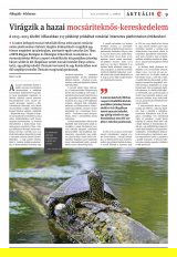Vásárhelyi Hírlap XII. évfolyam, 144. szám