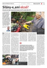 Vásárhelyi Hírlap XII. évfolyam, 145. szám