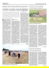 Krónika XX. évfolyam, 145. szám