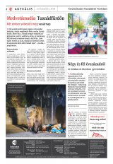 Udvarhelyi Híradó XXIX. évfolyam, 147. szám