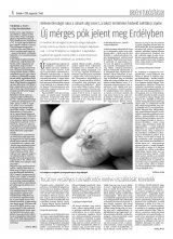 Krónika XX. évfolyam, 148. szám