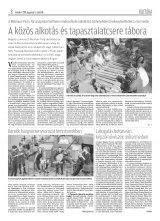 Krónika XX. évfolyam, 150. szám