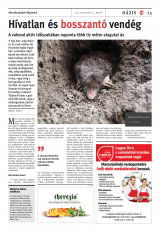 Vásárhelyi Hírlap XII. évfolyam, 152. szám