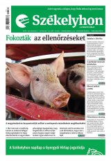 IX. évfolyam, 161. szám