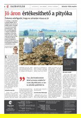 Csíki Hírlap XIII. évfolyam, 165. szám