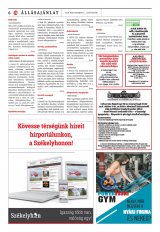 Vásárhelyi Hírlap XII. évfolyam, 169. szám