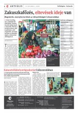 Csíki Hírlap XIII. évfolyam, 173. szám