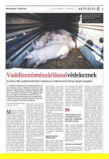 Udvarhelyi Híradó XXIX. évfolyam, 174. szám