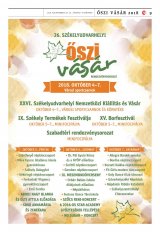 Vásárhelyi Hírlap XII. évfolyam, 185. szám