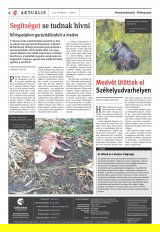 Udvarhelyi Híradó XXIX. évfolyam, 186. szám