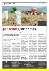 Udvarhelyi Híradó XXIX. évfolyam, 193. szám