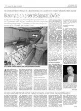 Krónika XX. évfolyam, 204. szám