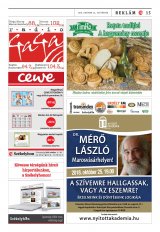 Vásárhelyi Hírlap XII. évfolyam, 204. szám