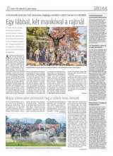 Krónika XX. évfolyam, 205. szám